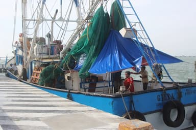 ImagenTormenta Francine afecta a pescadores de ciudad del Carmen 