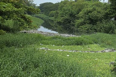 ImagenRio Seco de Paraíso, fosa séptica abierta 