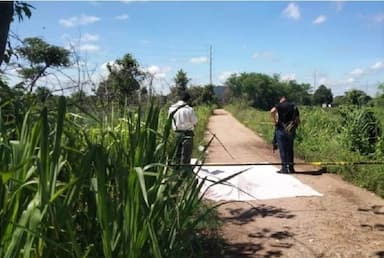 ImagenContinúan ejecuciones en Tabasco 