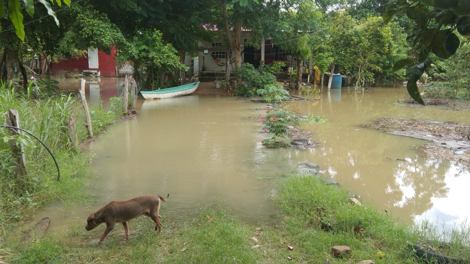 Más de 300 personas afectadas por lluvias en Nacajuca