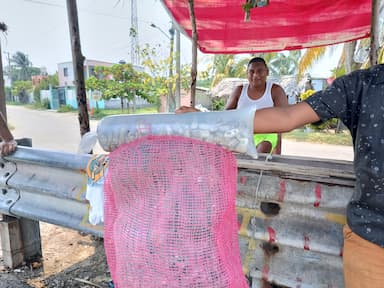 ImagenSufren ostioneros de Paraíso bajas del 50% en ventas 