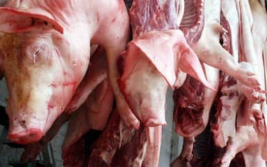 ImagenSe dispara precio la carne de cerdo 