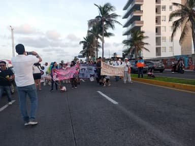 ImagenMarchan por maltrato animal en puerto de Veracruz