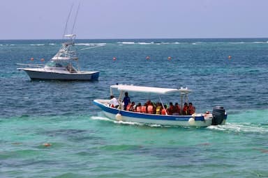 ImagenSaldo positivo en temporada vacacional de Puerto Morelos