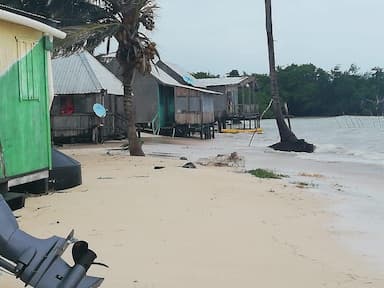 ImagenCae precio de langosta en Quintana Roo