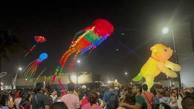 ImagenEspectacular exhibición de papalotes gigantes luminosos