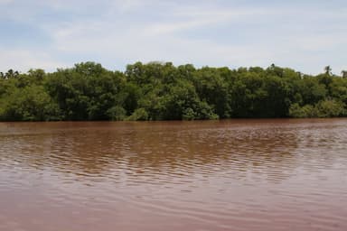 ImagenReclamarán a AMLO y Sheinbaum en Paraíso