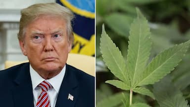 ImagenTrump apoya la legalización de la marihuana 