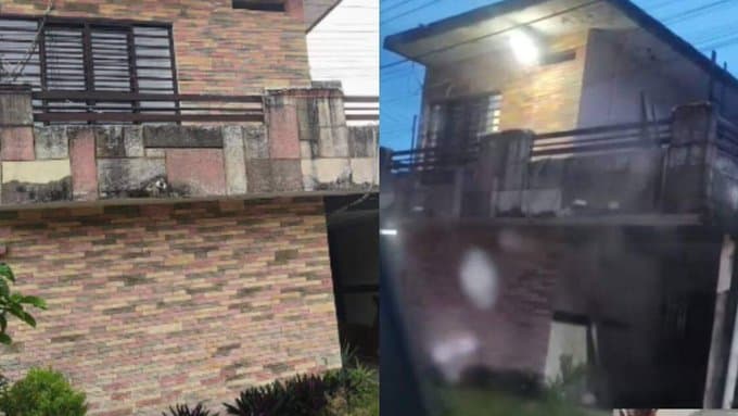 Fiscalía de Tabasco investiga caso de maltrato animal en Teapa