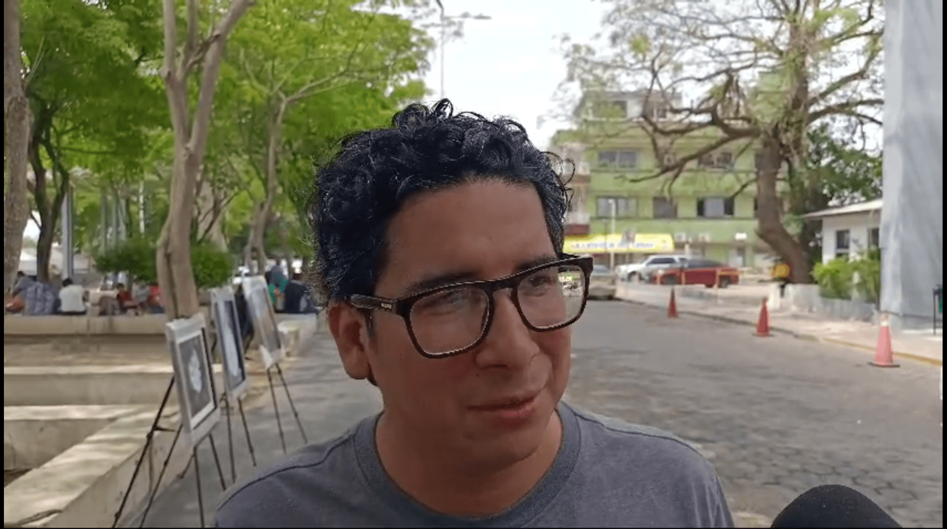 Impugnación de Lorena a elección es pura paja: PVEM