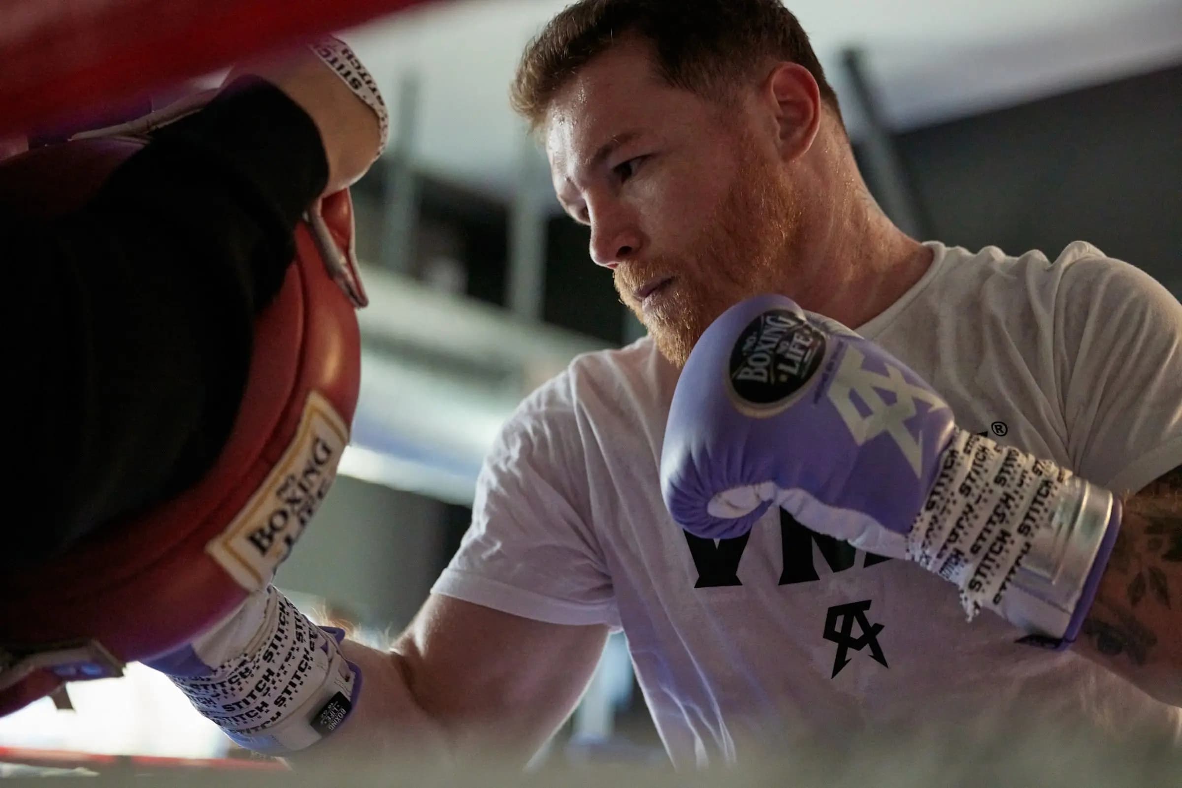 Saúl 'Canelo' Álvarez: Regreso al ring tras lesión y derrota
