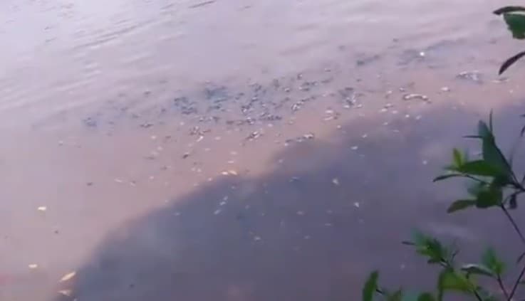 Se extiende derrame de Dos Bocas en Río Seco, Paraíso