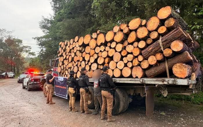 FGR investiga en Tabasco delitos forestales y contra la salud