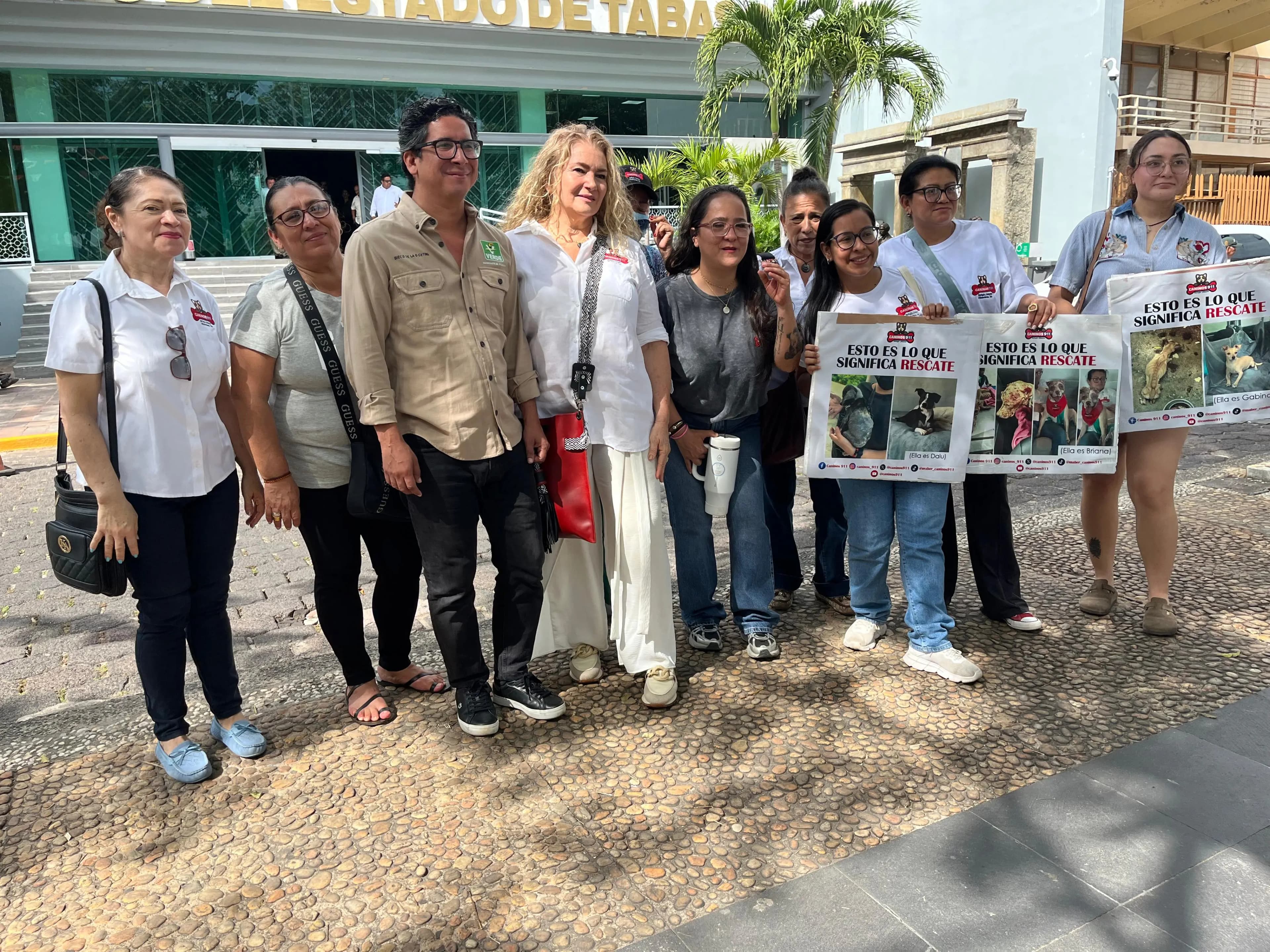 Aprueba Congreso de Tabasco penas más severas por maltrato animal