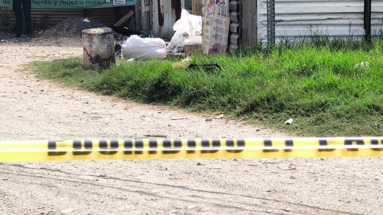 Dejan restos de persona descuartizada entre bolsas de basura en colonia de Centro