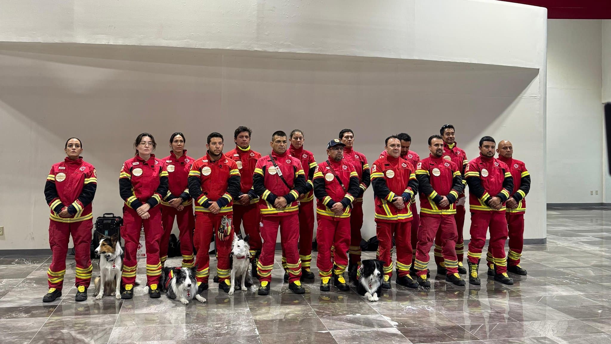 Viajan perritos rescatistas mexicanos a Venezuela