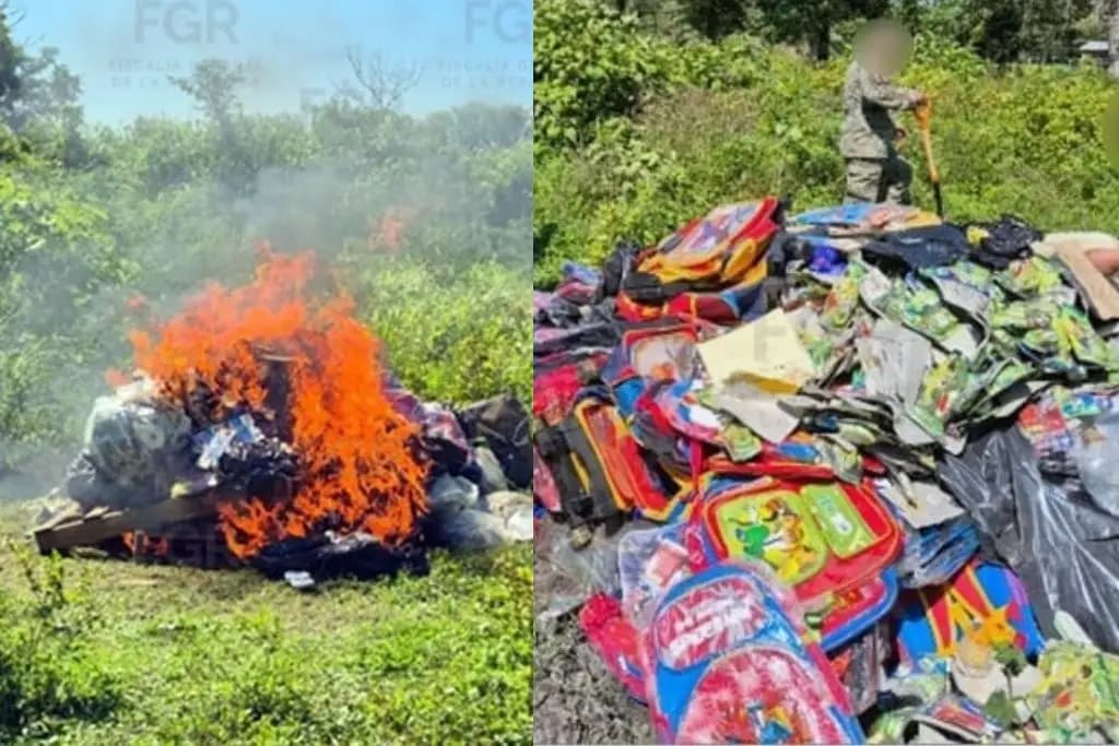 Incinera FGR drogas incautadas en Tabasco