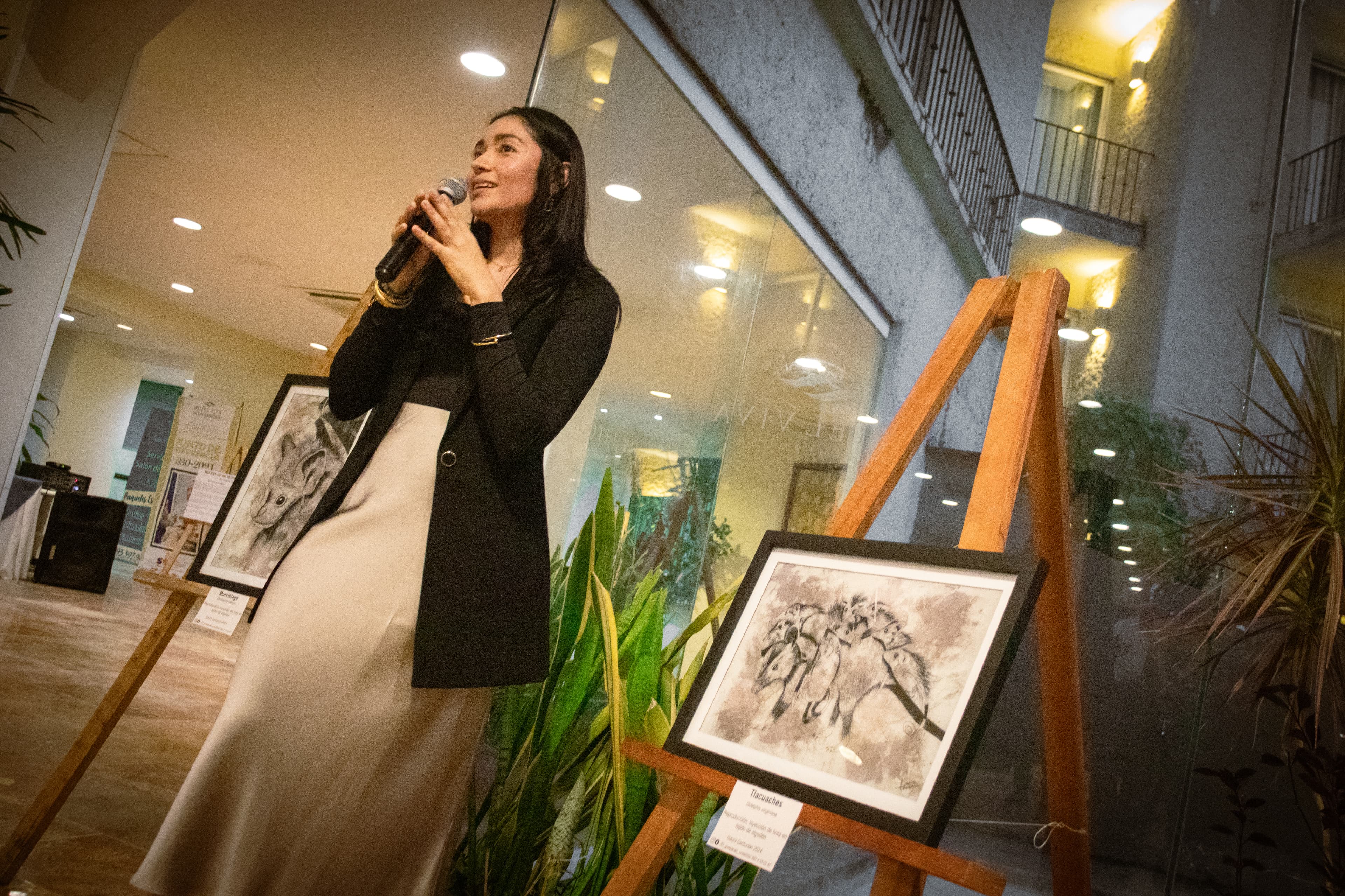 Arte que sensibiliza sobre el Tabasco devastado