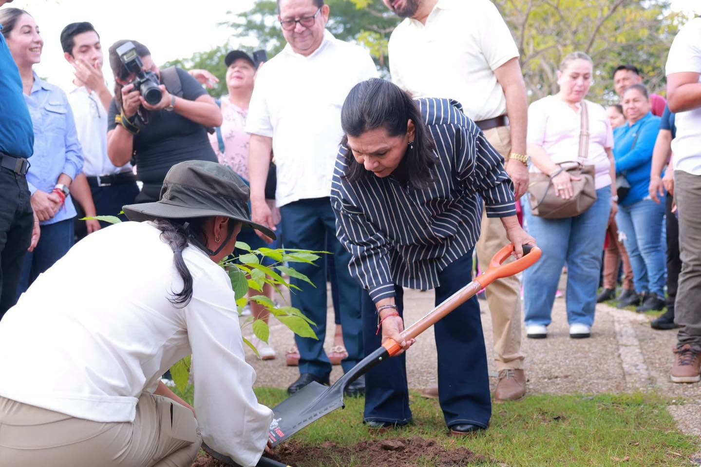 Sembrará Centro 140 mil árboles en segunda jornada estatal de reforestación