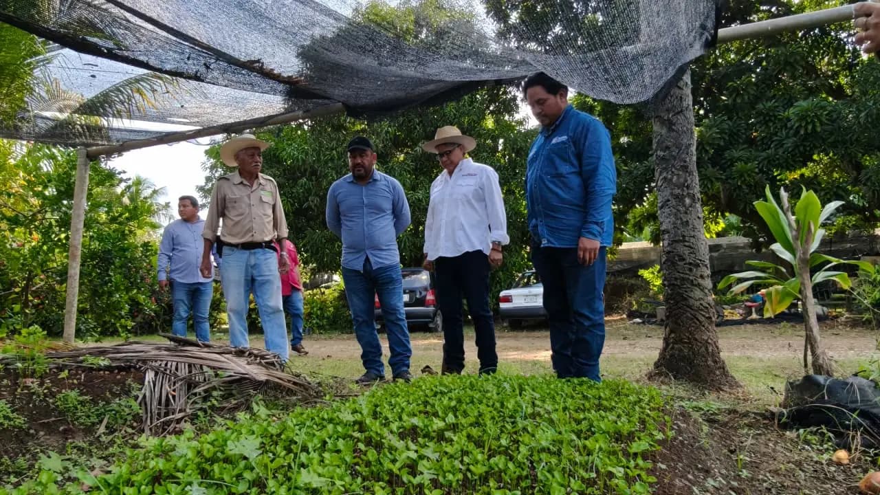 Produce Finca Las Lilias 20 mil plantas mensuales para reforestación en Tabasco