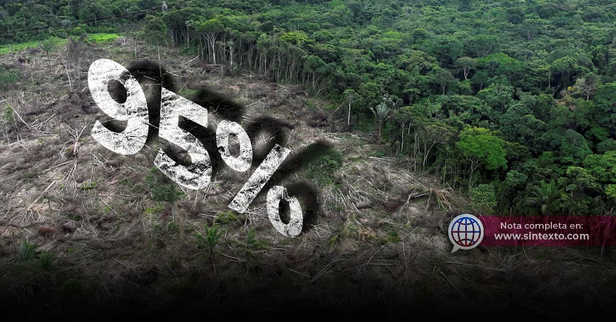 Perdió Tabasco 95% de Selva, tomará 300 años recuperarla
