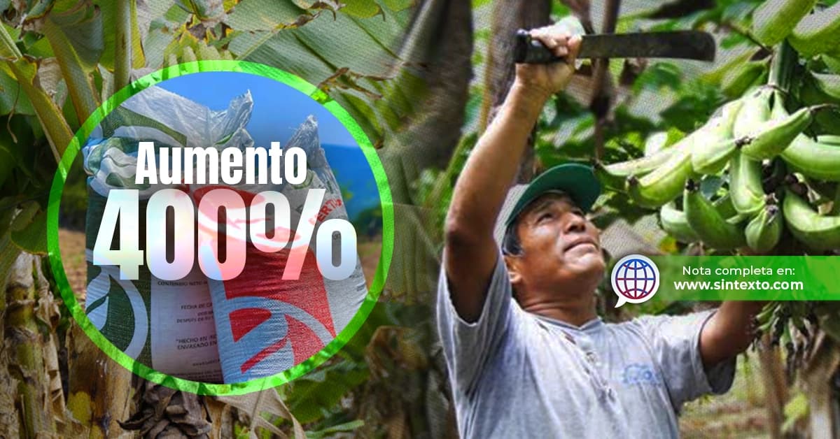Enfrentan crisis plataneros tabasqueños, esperan resurgir